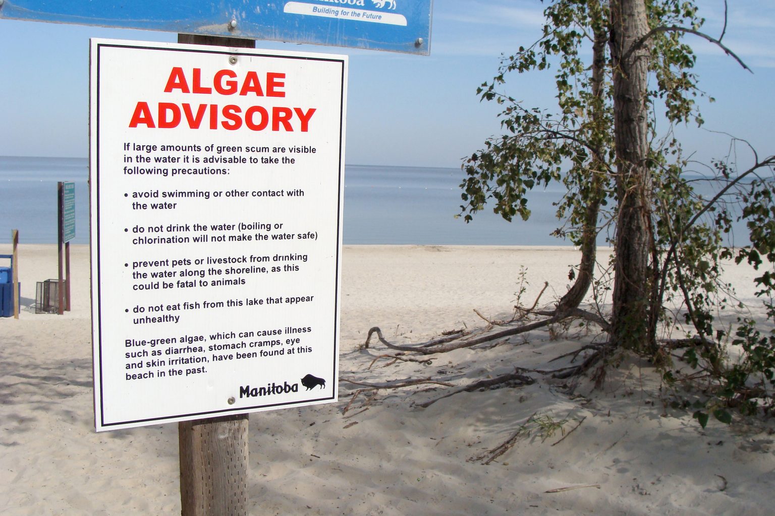 Blue-green algae blooms pop up in lakes around Alberta | Raven Radio ...